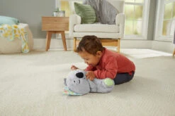 MATTEL Fisher-Price Schlummer-Koala -Geschäft Für Kinderperipherieprodukte mattel fisher price schlummer koala 3